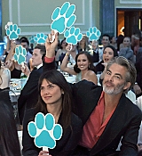 CPN_050.jpg