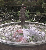 00425.jpg