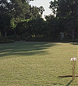 00546.jpg