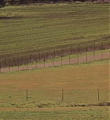 00825.jpg