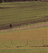 00829.jpg