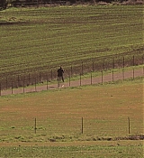 00831.jpg