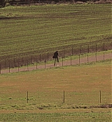 00832.jpg