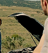 131.jpg