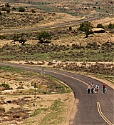 161.jpg