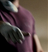 442.jpg
