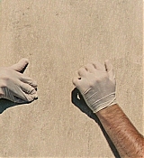 473.jpg
