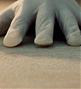 478.jpg