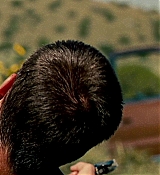 739.jpg
