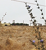 1010.jpg