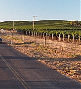 1049.jpg