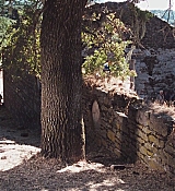 1383.jpg
