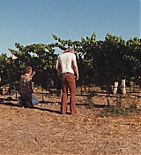 1441.jpg