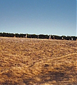 1456.jpg