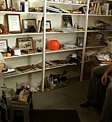 193.jpg