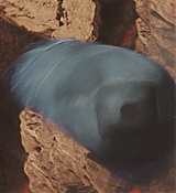 1091.jpg