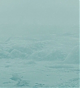 1254.jpg