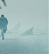 1266.jpg