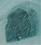 1275.jpg
