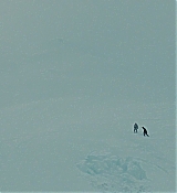 1402.jpg