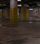 431.jpg