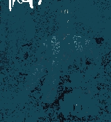 001.gif