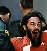 271.jpg