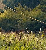 192.jpg