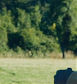 326.jpg