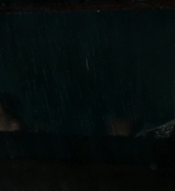 586.jpg