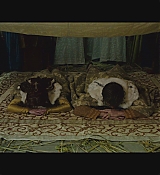 CPN-OutlawKingScreencaptures_0269.jpg