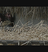 CPN-OutlawKingScreencaptures_1400.jpg