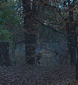 CPN_083.jpg