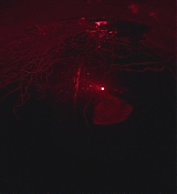 CPN_1310.jpg