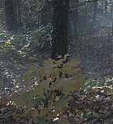 CPN_1469.jpg