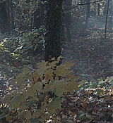 CPN_1470.jpg