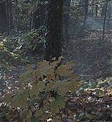 CPN_1471.jpg