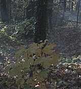 CPN_1472.jpg