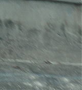 CPN_1698.jpg