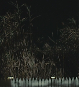 CPN_2393.jpg