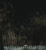 CPN_2394.jpg