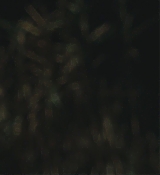 CPN_2396.jpg