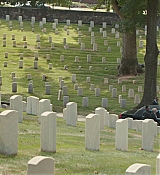 CPN_461.jpg