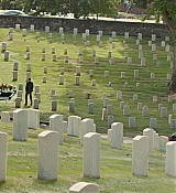CPN_463.jpg