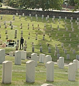 CPN_464.jpg