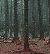 CPN_1112.jpg