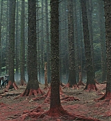 CPN_1113.jpg