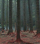 CPN_1114.jpg