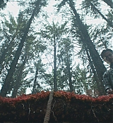 CPN_1145.jpg