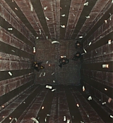 CPN_1866.jpg